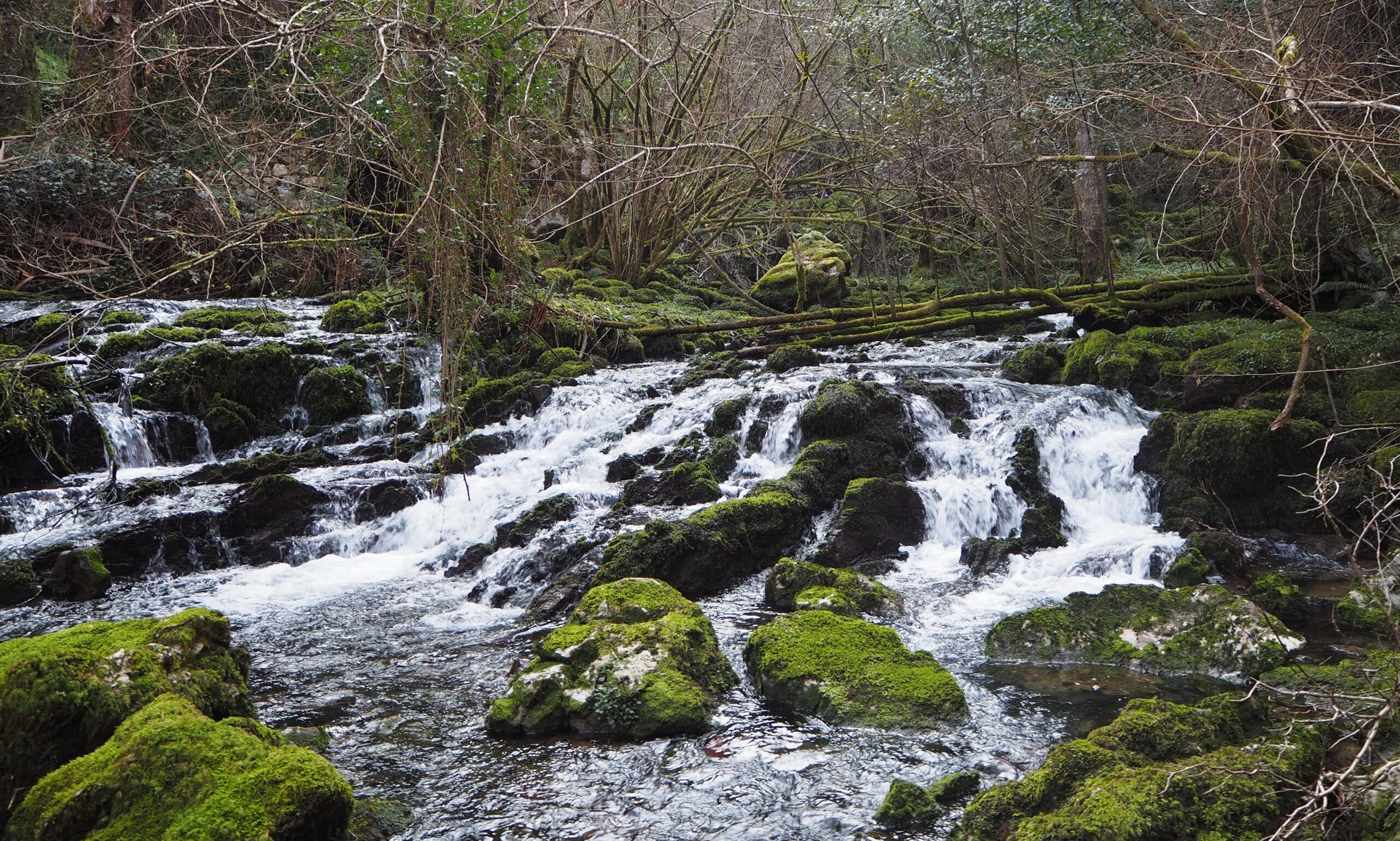 Ruta Río Cabra, Asturias