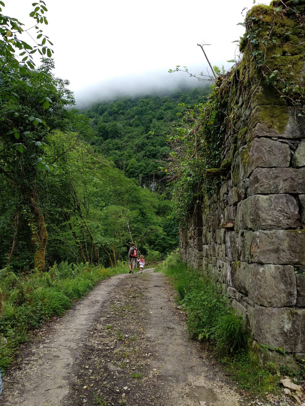 Ruta del Río Purón en Llanes | Casas rurales Primorías Llanes