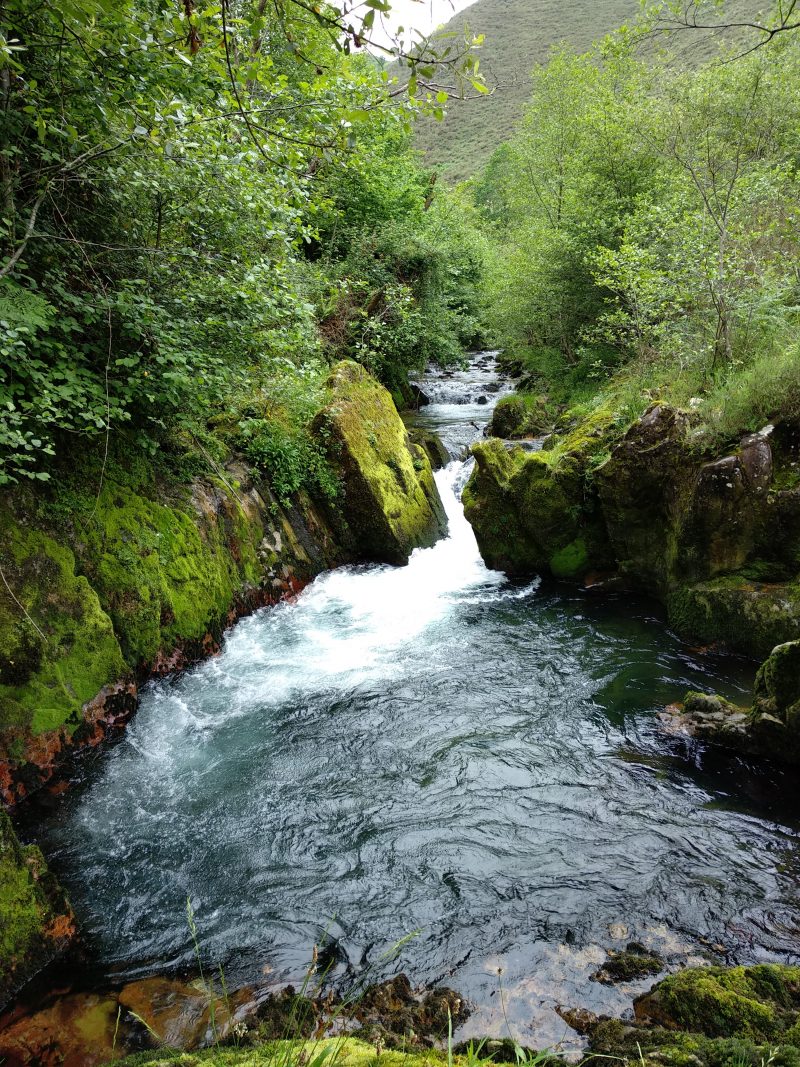 Ruta del Río Purón en Llanes | Casas rurales Primorías Llanes